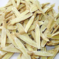 astragalus membranaceus tea root